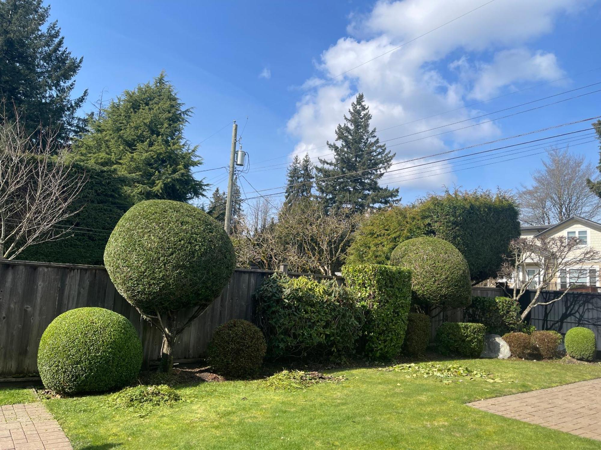 Homestay Campus Haven Vancouver